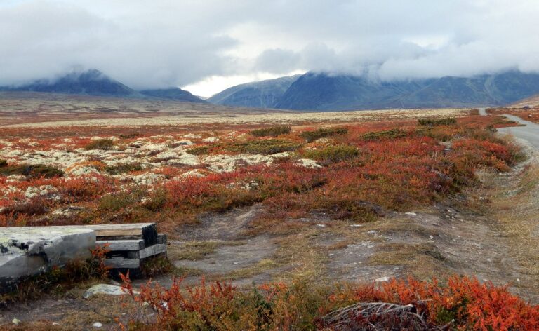 hoestfarger sept 2017